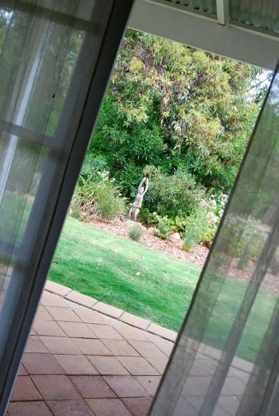 Llewellin'S Guest House Margaret River Exteriér fotografie